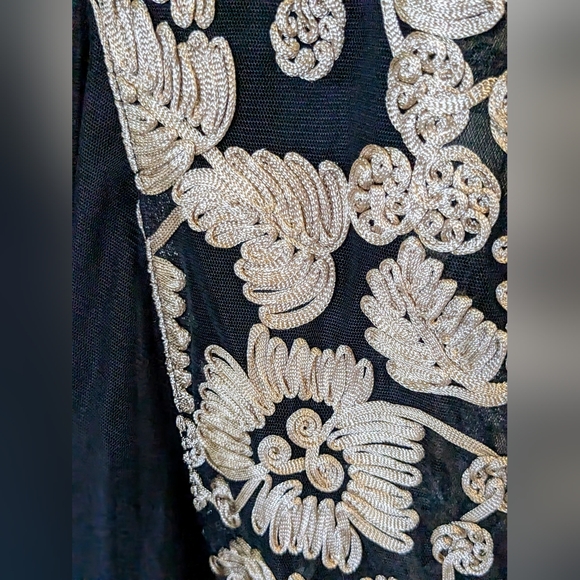 Alex Evenings/David's Bridal, Champagne-Black, Embroidered, Tulle Godets, Sz. 16 - Picture 11 of 15